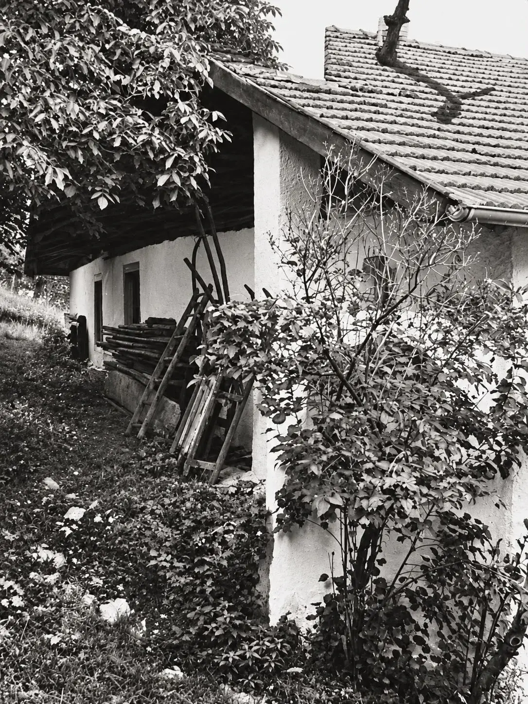 Ein Haus mit Geschichte